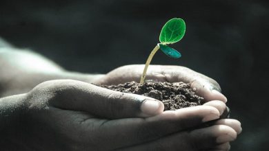 عبارات عن الحياة