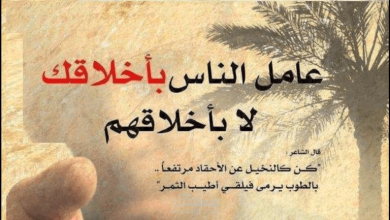 عبارات عن الحياة