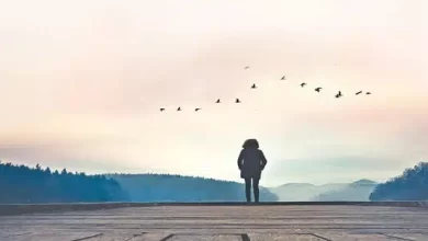 عبارات عن الحياة