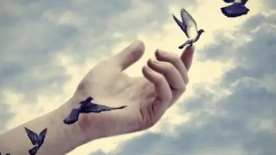 عبارات عن الحياة بالفرنسية