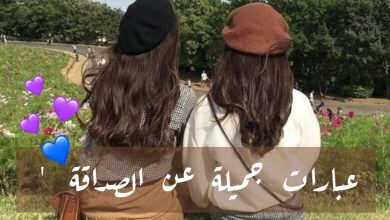 عبارات عن الصداقة