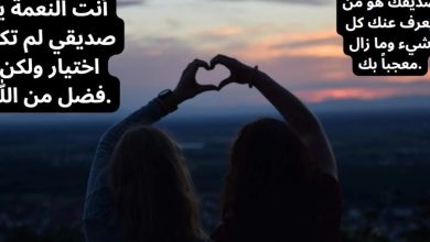 عبارات عن الصداقة