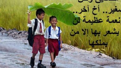 عبارات عن الصديق الحقيقي جميلة وقصيرة