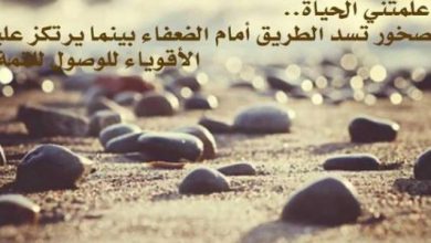 عبارات فخمة عن الحياة