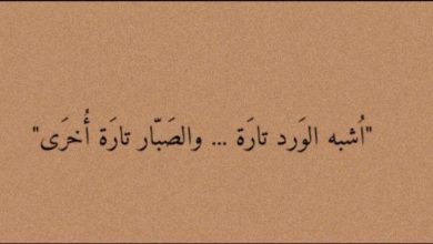 عبارات قوية قصيرة ومميزة