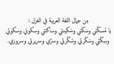 عجائب الشعر العربي