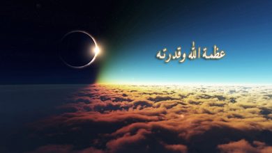 عظمة الخالق