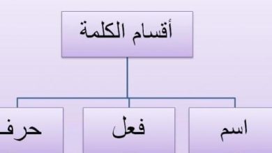 علامات الاسم والفعل