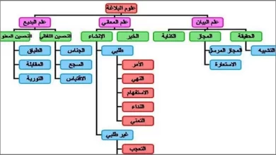 علم البلاغة