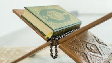 في أي جزء سورة القصص