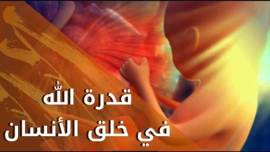 قدرة الله في خلق الإنسان