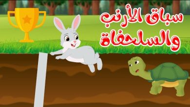  قصة الأرنب والسلحفاة