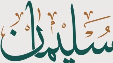 قصة سيدنا سليمان
