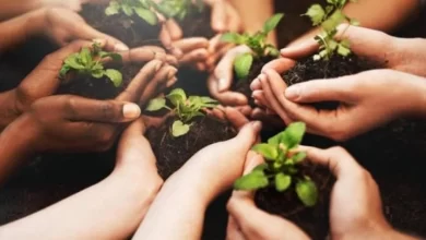 قيم العمل التطوعي وتأثيره على الفرد والمجتمع