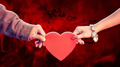 كلام الحب والعشق