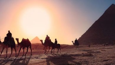 كلام جميل عن مصر