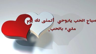 كلام حب لحبيبتي جميل ومميز