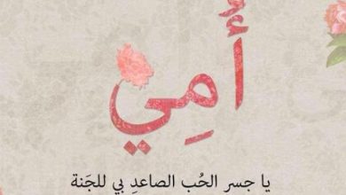 كلام رائع عن الأم جميل