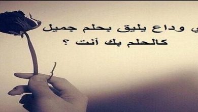 كلام عن البعد والاشتياق