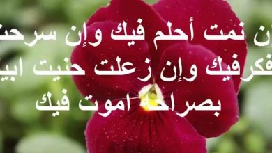 كلام غزل للحبيب