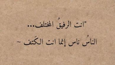 كلام مدح قصير