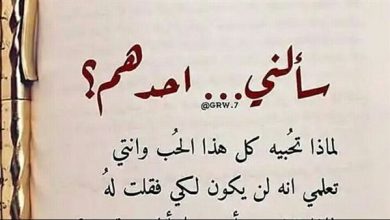 كلمات حب جميلة للحبيب