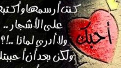 كلمات حب وغرام