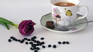كلمات عن صباح الخير وأجمل العبارات التي تقال في الصباح
