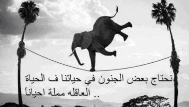 كلمات مؤثرة عن الحياة