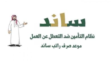 كم راتب ساند