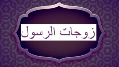 كم عدد زوجات الأنبياء