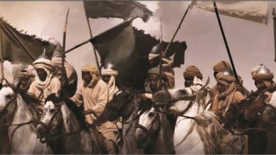 ما أسباب سقوط الدولة الزيرية