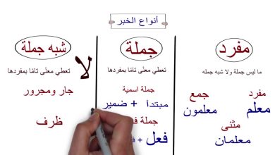 ما هي أنواع الخبر