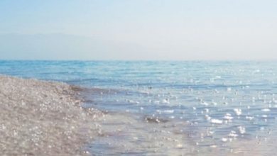 ما هي أهمية المياه المالحة في الحياة واستخداماتها