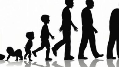 مجالات علم النفس النمو