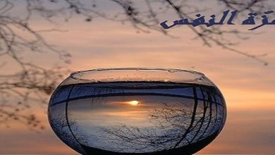 مجموعة عبارات جميلة عن عزة النفس