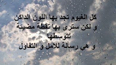 مجموعة عبارات جميلة عن فصل الشتاء