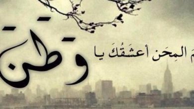 مجموعة كلمات قصيرة للوطن وأجمل ما يقال عن الوطن