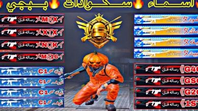 مجموعة من اسماء ببجي 7 حروف بنات