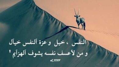 مدح النفس