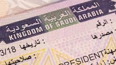 مسموح لهذه الدول بالحصول على تأشيرة الزيارة الإلكترونية