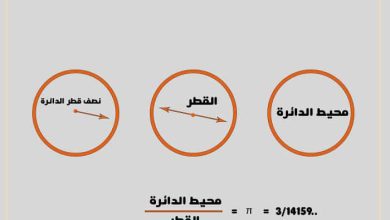  مفهوم الدائرة في علم الرياضيات