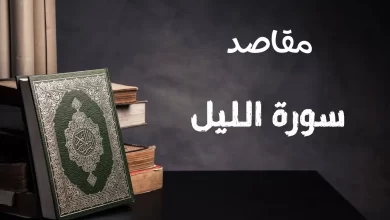 مقاصد سورة الليل