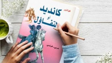 ملخص رواية كانديد