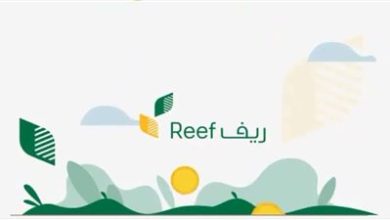 موعد إيداع دعم ريف للأسر
