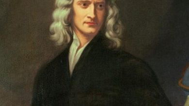 نظرية المدرسة الكلاسيكية