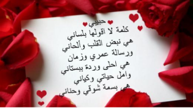أجمل غزل لابن فطيس