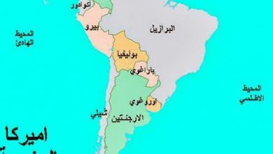 أكبر دولة في أمريكا الجنوبية