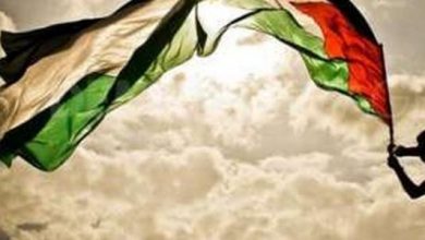 اجمل ما قيل في فلسطين