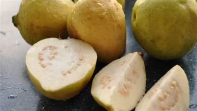 تفسير رؤية الجوافة في المنام